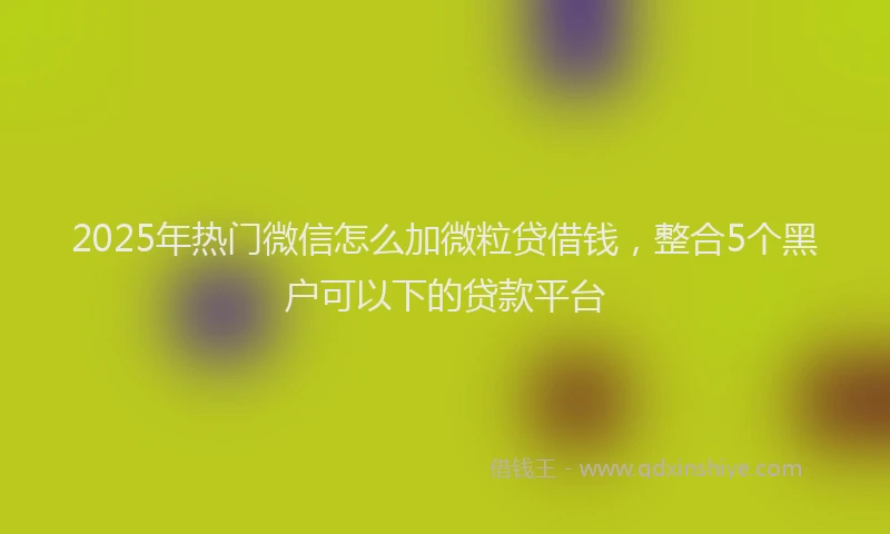 2025年热门微信怎么加微粒贷借钱，整合5个黑户可以下的贷款平台