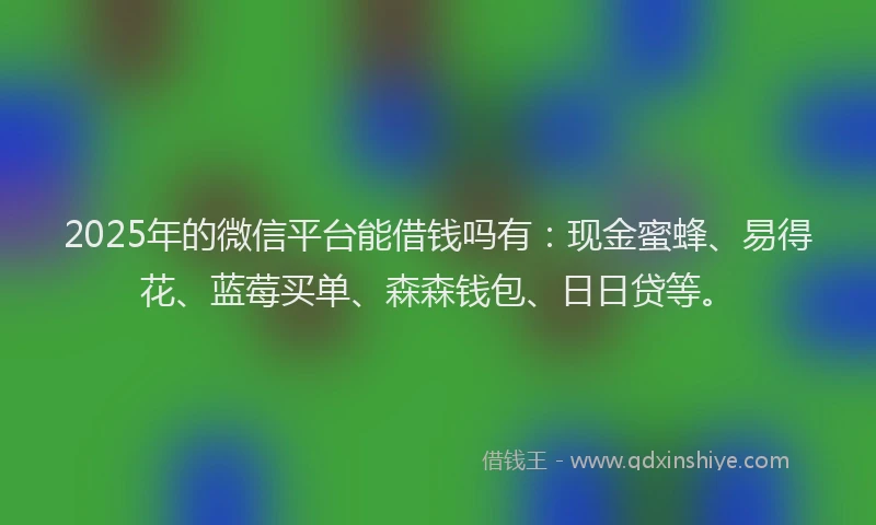2025年的微信平台能借钱吗有：现金蜜蜂、易得花、蓝莓买单、森森钱包、日日贷等。