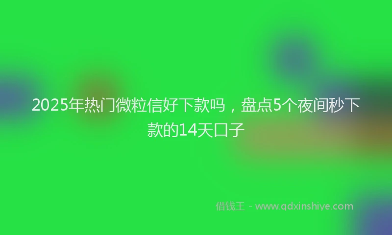 2025年热门微粒信好下款吗，盘点5个夜间秒下款的14天口子