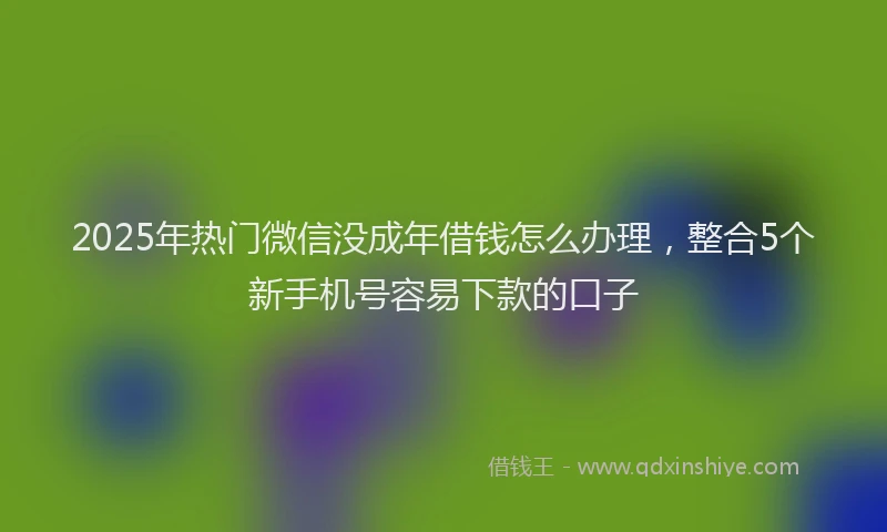 2025年热门微信没成年借钱怎么办理,整合5个新手机号容易下款的口子