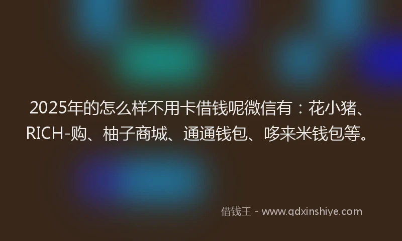 2025年的怎么样不用卡借钱呢微信有:花小猪、RICH-购、柚子商城、通通钱包、哆来米钱包等。