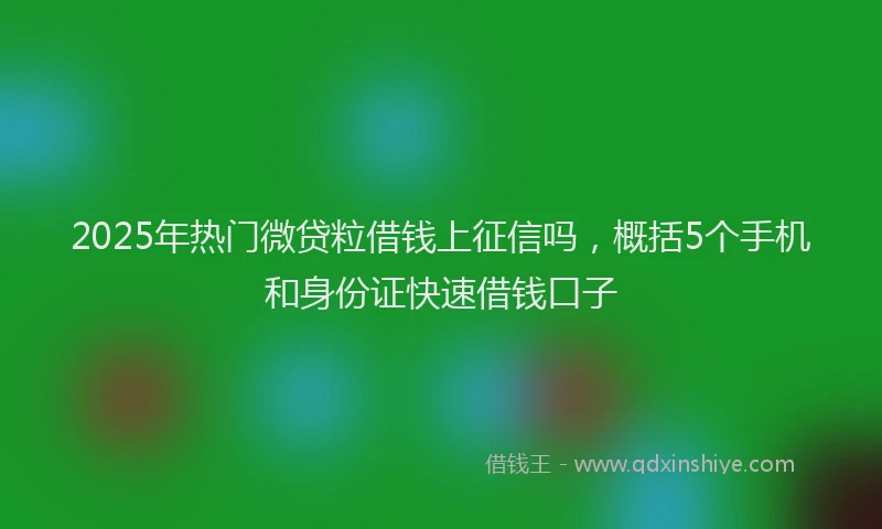 2025年热门微贷粒借钱上征信吗，概括5个手机和身份证快速借钱口子