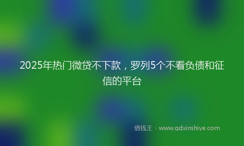2025年热门微贷不下款，罗列5个不看负债和征信的平台
