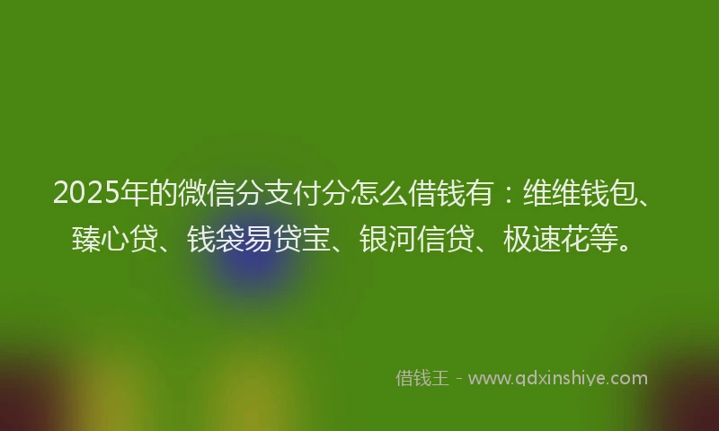 2025年的微信分支付分怎么借钱有：维维钱包、臻心贷、钱袋易贷宝、银河信贷、极速花等。