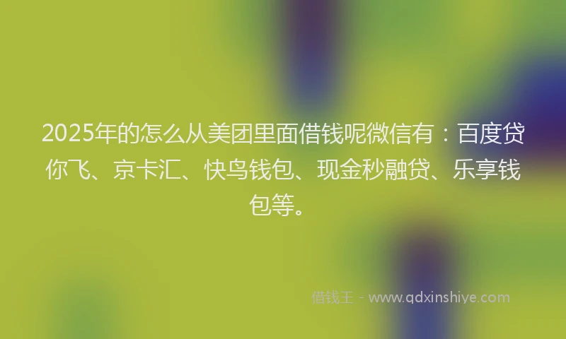 2025年的怎么从美团里面借钱呢微信有：百度贷你飞、京卡汇、快鸟钱包、现金秒融贷、乐享钱包等。