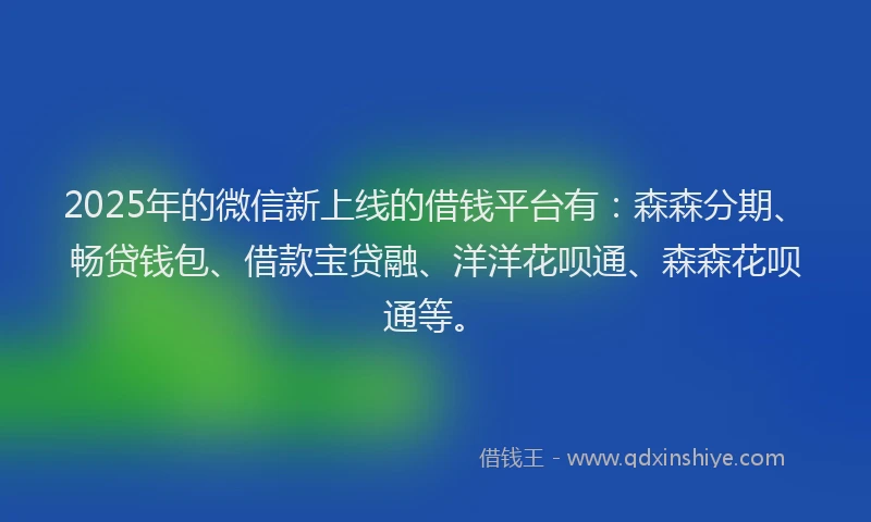 2025年的微信新上线的借钱平台有：森森分期、畅贷钱包、借款宝贷融、洋洋花呗通、森森花呗通等。