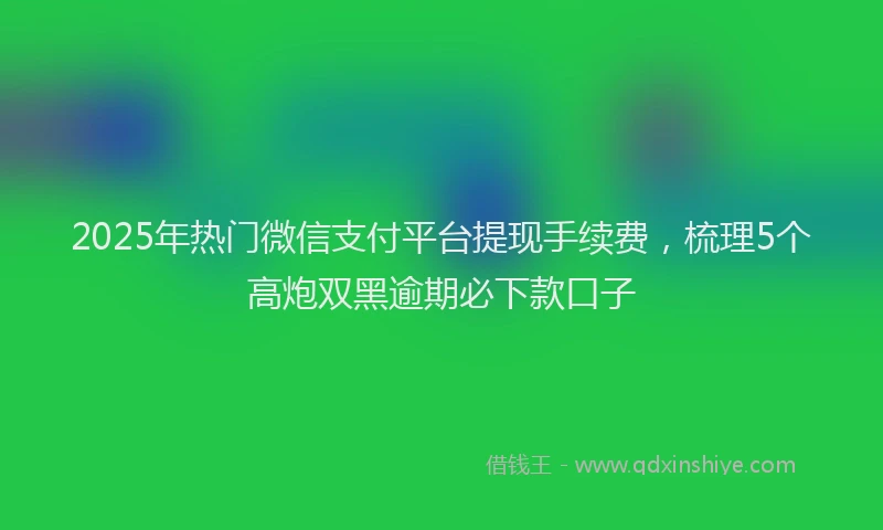 2025年热门微信支付平台提现手续费，梳理5个高炮双黑逾期必下款口子