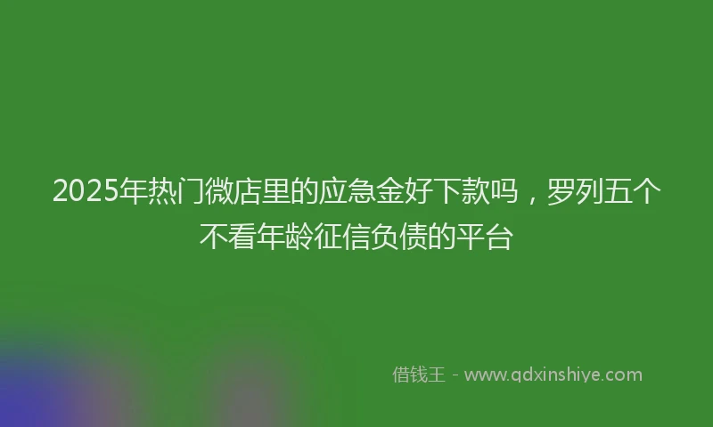 2025年热门微店里的应急金好下款吗，罗列五个不看年龄征信负债的平台