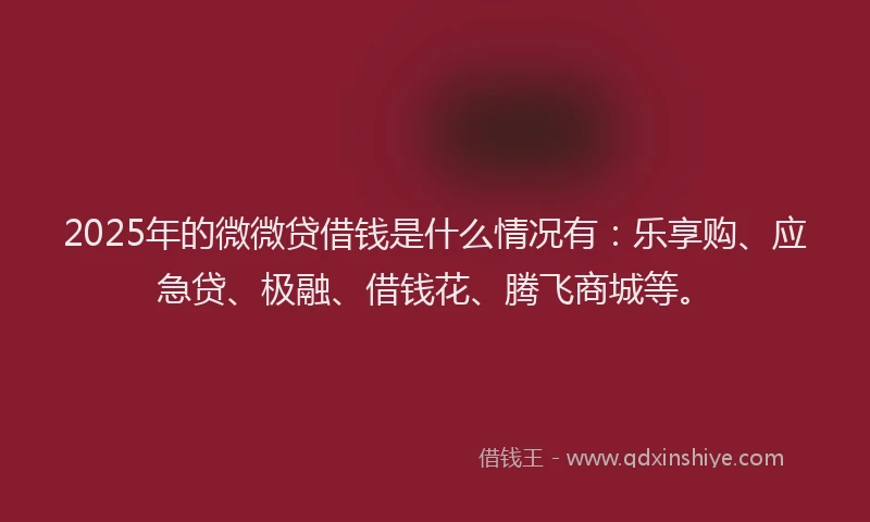 2025年的微微贷借钱是什么情况有：乐享购、应急贷、极融、借钱花、腾飞商城等。