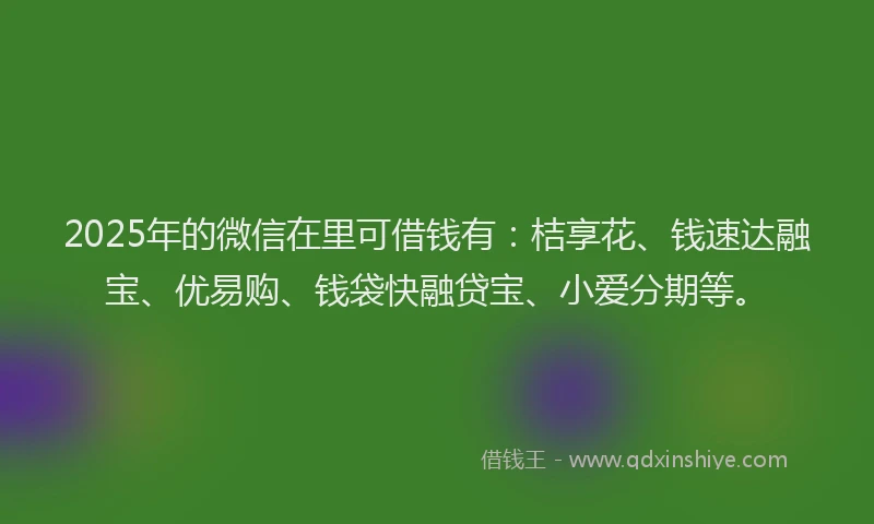 2025年的微信在里可借钱有：桔享花、钱速达融宝、优易购、钱袋快融贷宝、小爱分期等。