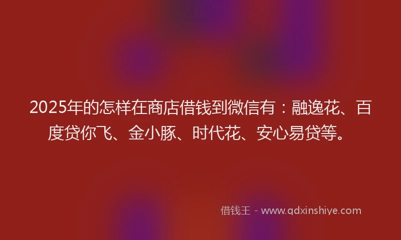 2025年的怎样在商店借钱到微信有：融逸花、百度贷你飞、金小豚、时代花、安心易贷等。