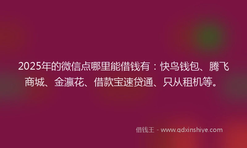 2025年的微信点哪里能借钱有：快鸟钱包、腾飞商城、金瀛花、借款宝速贷通、只从租机等。
