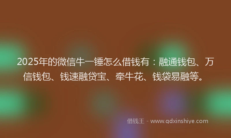 2025年的微信牛一锤怎么借钱有：融通钱包、万信钱包、钱速融贷宝、牵牛花、钱袋易融等。