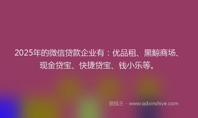 2025年的微信贷款企业有：优品租、黑鲸商场、现金贷宝、快捷贷宝、钱小乐等。
