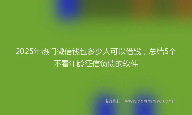 2025年热门微信钱包多少人可以借钱，总结5个不看年龄征信负债的软件