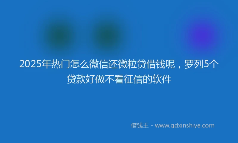 2025年热门怎么微信还微粒贷借钱呢，罗列5个贷款好做不看征信的软件