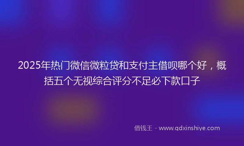 2025年热门微信微粒贷和支付主借呗哪个好，概括五个无视综合评分不足必下款口子