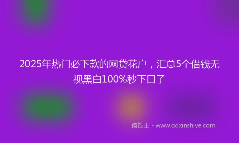 2025年热门必下款的网贷花户，汇总5个借钱无视黑白100%秒下口子