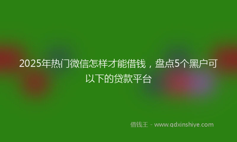 2025年热门微信怎样才能借钱，盘点5个黑户可以下的贷款平台