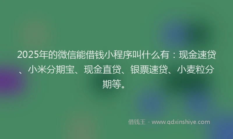 2025年的微信能借钱小程序叫什么有：现金速贷、小米分期宝、现金直贷、银票速贷、小麦粒分期等。