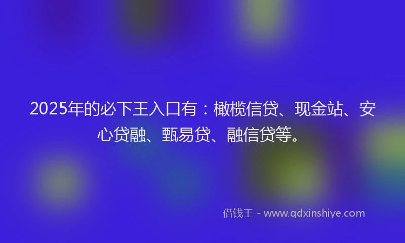 2025年的必下王入口有：橄榄信贷、现金站、安心贷融、甄易贷、融信贷等。