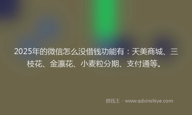 2025年的微信怎么没借钱功能有：天美商城、三枝花、金瀛花、小麦粒分期、支付通等。