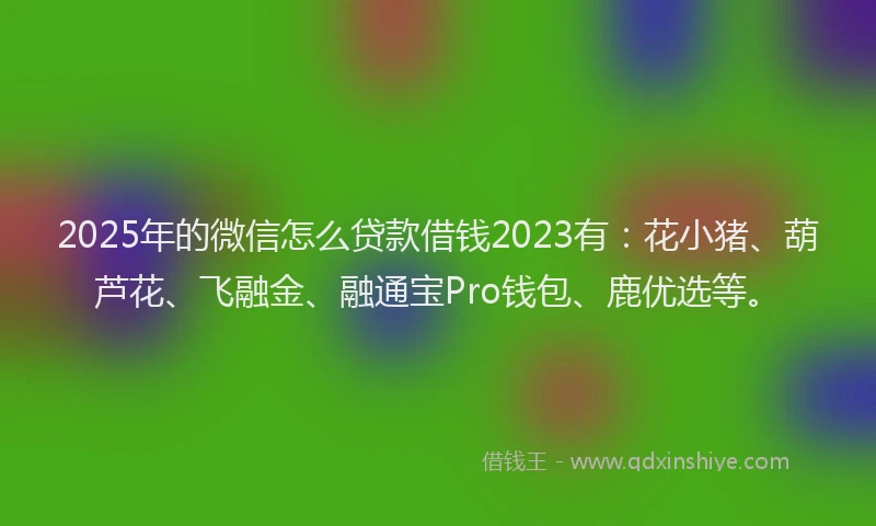 2025年的微信怎么贷款借钱2023有：花小猪、葫芦花、飞融金、融通宝Pro钱包、鹿优选等。
