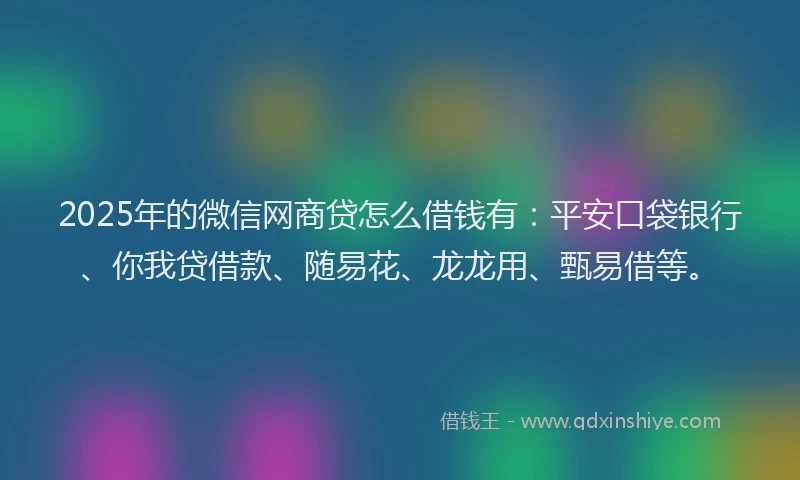 2025年的微信网商贷怎么借钱有：平安口袋银行、你我贷借款、随易花、龙龙用、甄易借等。