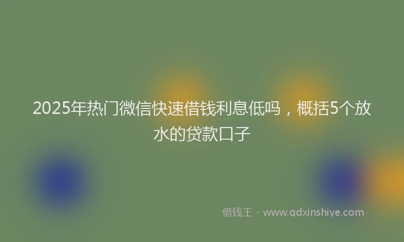 2025年热门微信快速借钱利息低吗，概括5个放水的贷款口子