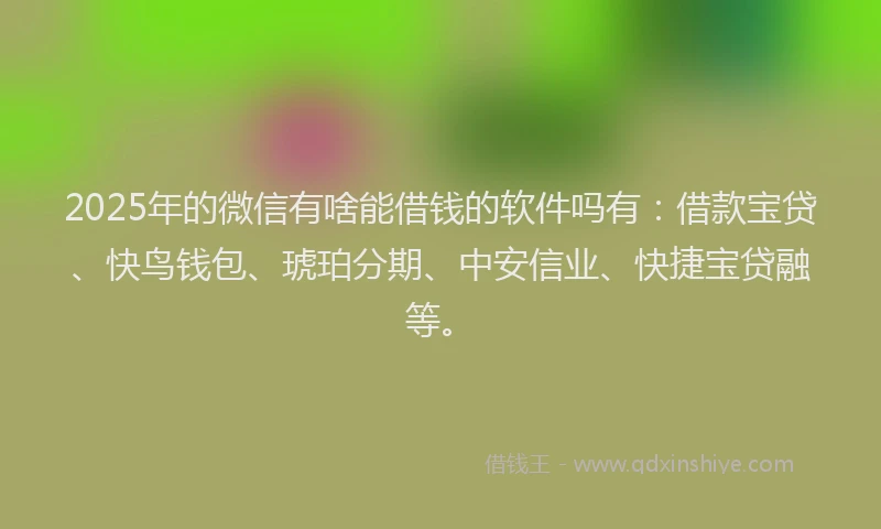 2025年的微信有啥能借钱的软件吗有：借款宝贷、快鸟钱包、琥珀分期、中安信业、快捷宝贷融等。