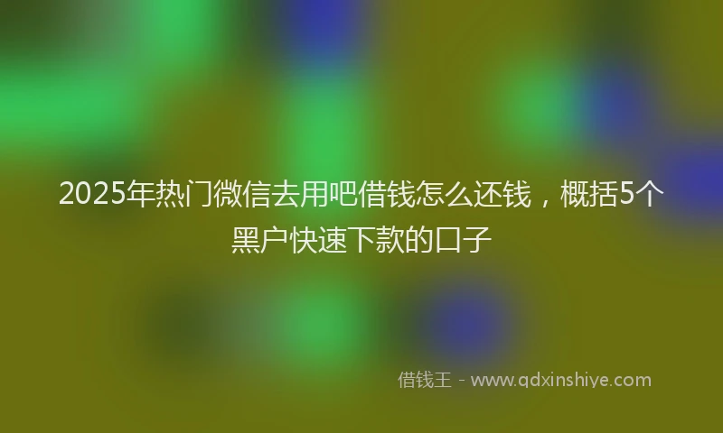 2025年热门微信去用吧借钱怎么还钱，概括5个黑户快速下款的口子