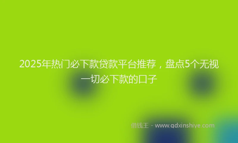 2025年热门必下款贷款平台推荐，盘点5个无视一切必下款的口子