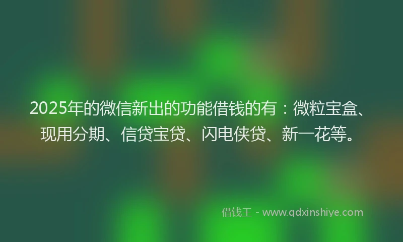 2025年的微信新出的功能借钱的有：微粒宝盒、现用分期、信贷宝贷、闪电侠贷、新一花等。