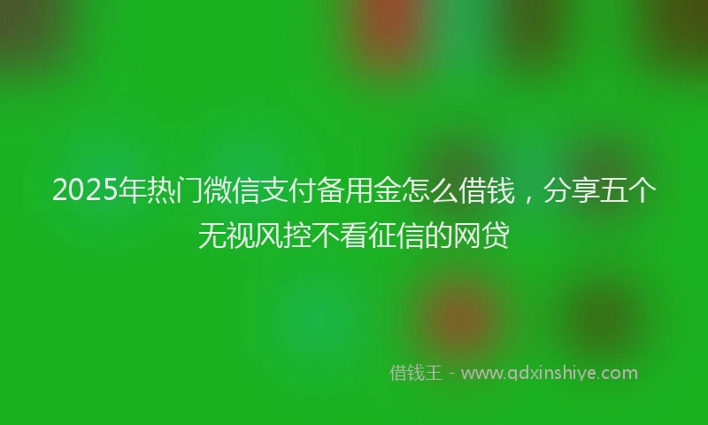 2025年热门微信支付备用金怎么借钱，分享五个无视风控不看征信的网贷