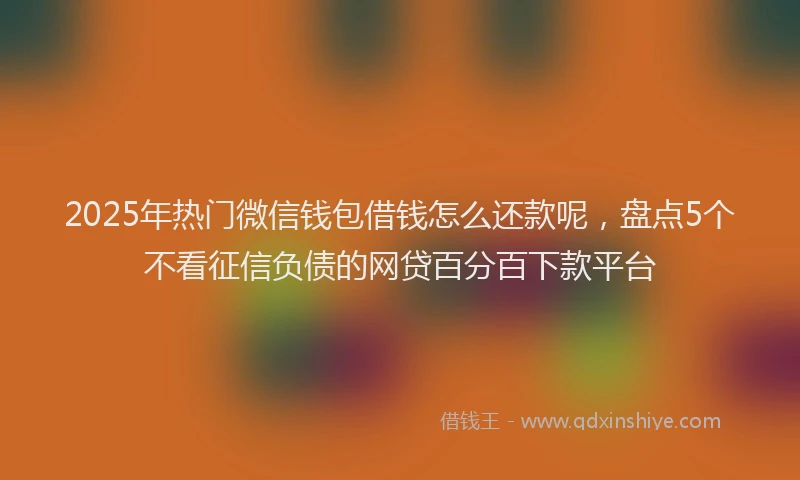 2025年热门微信钱包借钱怎么还款呢，盘点5个不看征信负债的网贷百分百下款平台