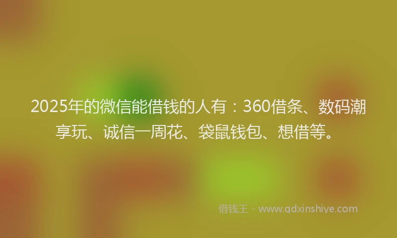 2025年的微信能借钱的人有：360借条、数码潮享玩、诚信一周花、袋鼠钱包、想借等。