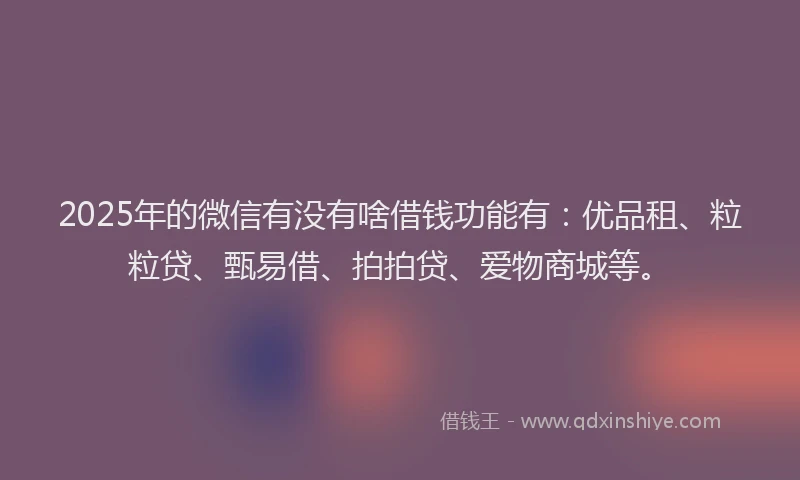 2025年的微信有没有啥借钱功能有：优品租、粒粒贷、甄易借、拍拍贷、爱物商城等。