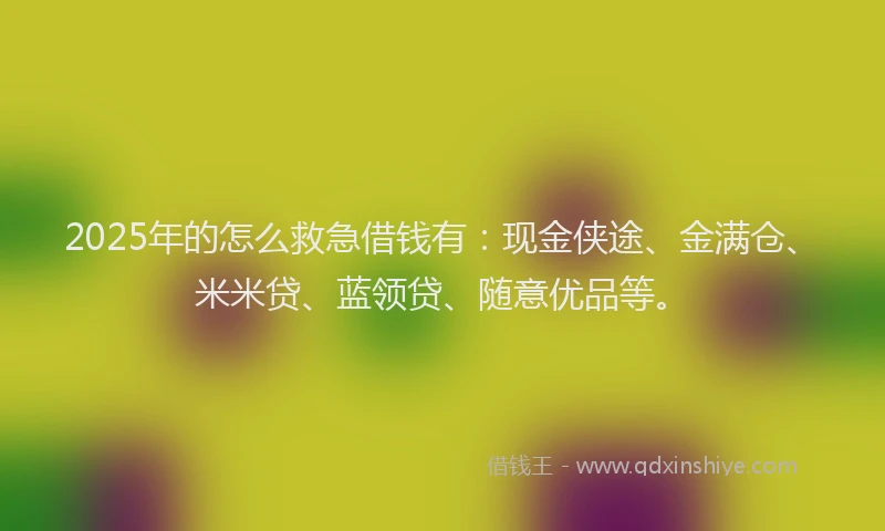2025年的怎么救急借钱有：现金侠途、金满仓、米米贷、蓝领贷、随意优品等。