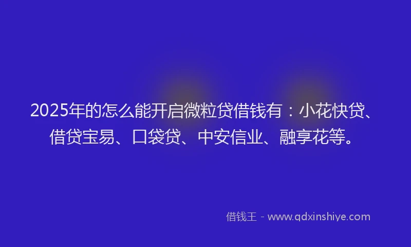 2025年的怎么能开启微粒贷借钱有：小花快贷、借贷宝易、口袋贷、中安信业、融享花等。