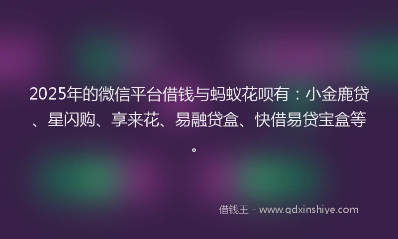 2025年的微信平台借钱与蚂蚁花呗有：小金鹿贷、星闪购、享来花、易融贷盒、快借易贷宝盒等。