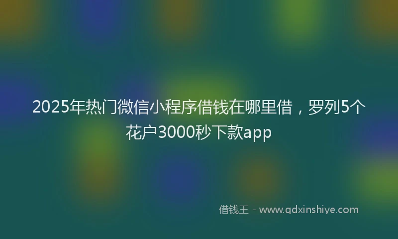 2025年热门微信小程序借钱在哪里借，罗列5个花户3000秒下款app