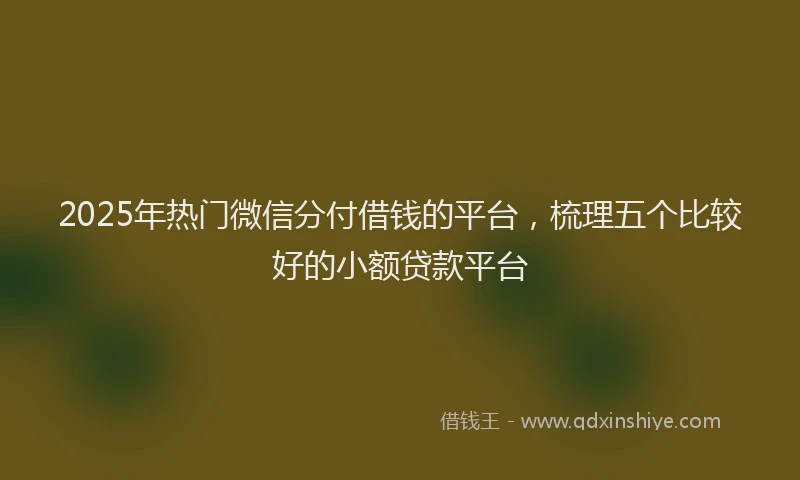 2025年热门微信分付借钱的平台，梳理五个比较好的小额贷款平台