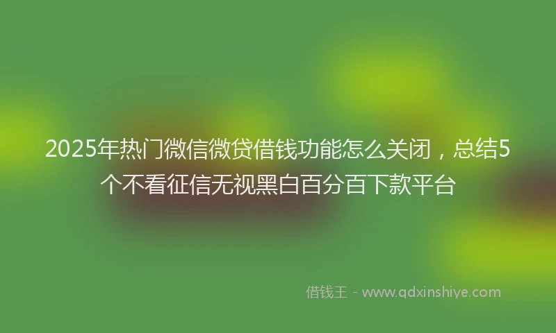 2025年热门微信微贷借钱功能怎么关闭，总结5个不看征信无视黑白百分百下款平台