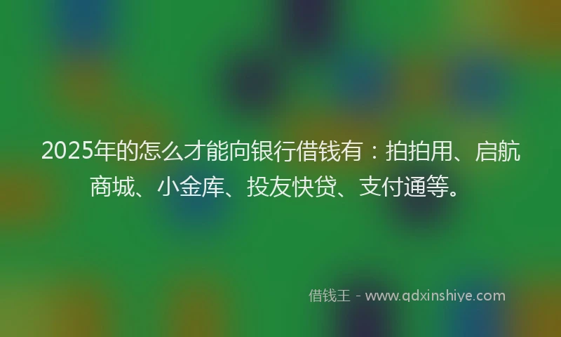 2025年的怎么才能向银行借钱有：拍拍用、启航商城、小金库、投友快贷、支付通等。