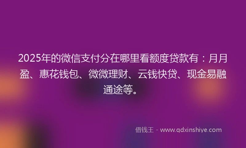 2025年的微信支付分在哪里看额度贷款有：月月盈、惠花钱包、微微理财、云钱快贷、现金易融通途等。