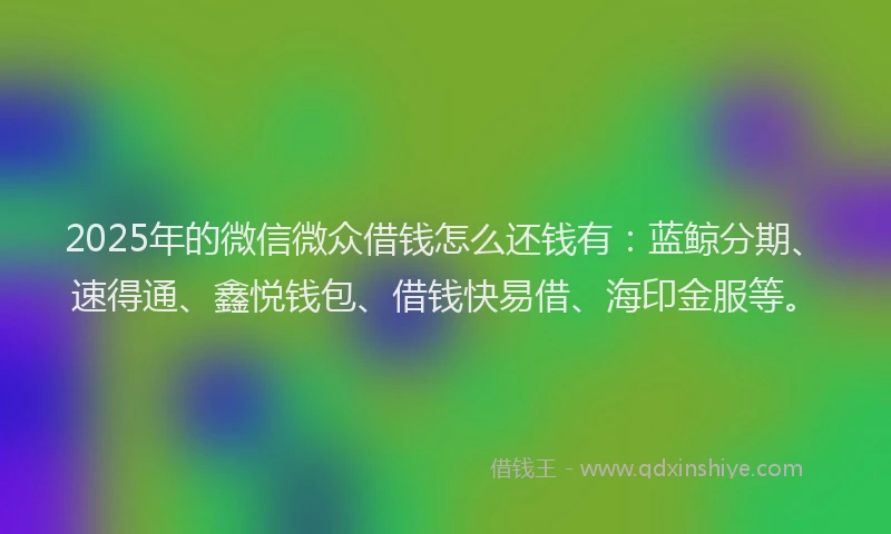 2025年的微信微众借钱怎么还钱有：蓝鲸分期、速得通、鑫悦钱包、借钱快易借、海印金服等。