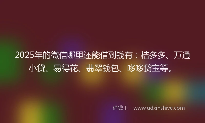2025年的微信哪里还能借到钱有：桔多多、万通小贷、易得花、翡翠钱包、哆哆贷宝等。