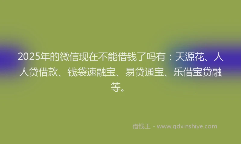 2025年的微信现在不能借钱了吗有：天源花、人人贷借款、钱袋速融宝、易贷通宝、乐借宝贷融等。