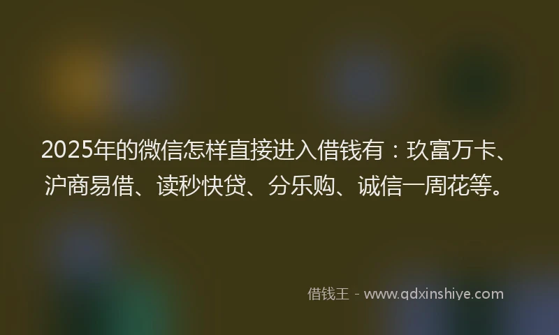 2025年的微信怎样直接进入借钱有：玖富万卡、沪商易借、读秒快贷、分乐购、诚信一周花等。