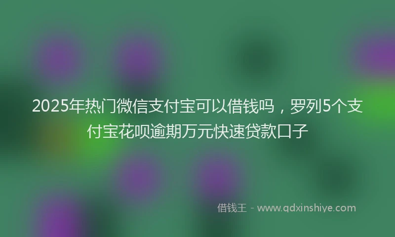 2025年热门微信支付宝可以借钱吗，罗列5个支付宝花呗逾期万元快速贷款口子